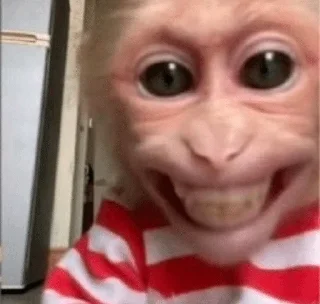 😁 emoji Monkeys | author:@tayaJei Telegram sticker 15 of 31