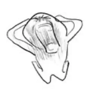 😭 emoji злой пчел Telegram sticker 13 of 118