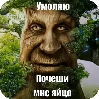 📚 emoji Кухня Telegram sticker 19 of 52