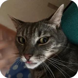 😡 emoji Арчи❤️ Telegram sticker 15 of 34