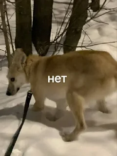 😗 emoji данaилиулыбака? Telegram sticker 5 of 38