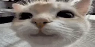 🌟 emoji Анимированный_т34 Telegram sticker 7 of 120