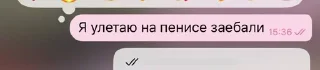 🌟 emoji Оля и крис Telegram sticker 1 of 112