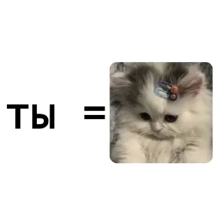 Специально для моей любимой 💓@ sticker 2