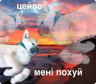 🕯 emoji цей во... @solovyy Telegram sticker 7 of 38