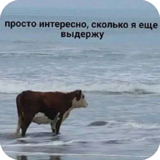🫥 emoji любимки Telegram sticker 12 of 120