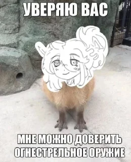 🌺 emoji Широ штооо Telegram sticker 16 of 19