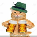 🍻 emoji memy pró kotov (po rzhatí) Telegram sticker 17 of 32
