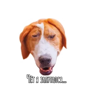 😕 emoji Dogs @stickersb2b Telegram sticker 17 of 18