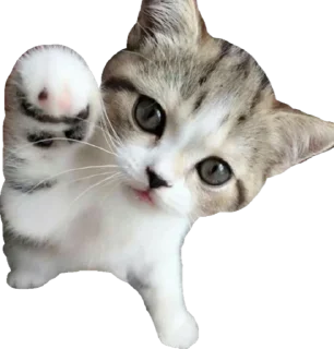 Sticker from башкирский мёд оптом