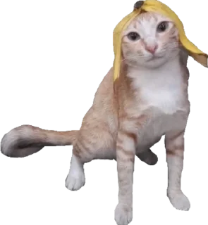🍌 emoji башкирский мёд оптом Telegram sticker 14 of 98