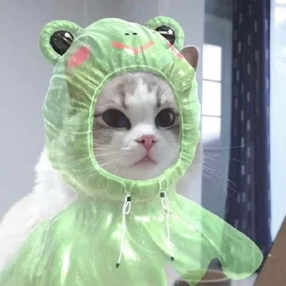 Sticker from Котя<3