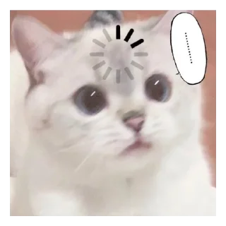 😶 emoji котя Telegram sticker 22 of 49