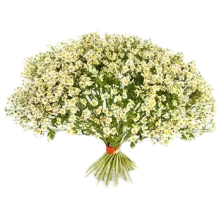 🌸 emoji Напитки и не только Telegram sticker 23 of 24