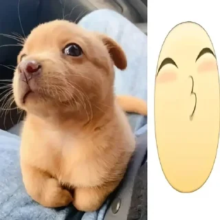 🌟 emoji драстик клубничко Telegram sticker 8 of 16
