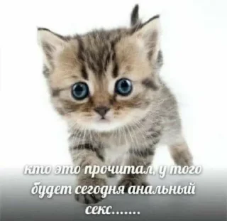 😔 emoji рпччбчюч Telegram sticker 14 of 42