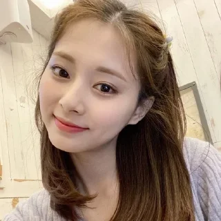 🦊 emoji ((🦊)) #tzuyu : @h0pehelp Telegram sticker 19 of 30