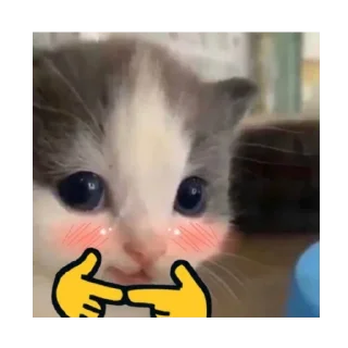 😋 emoji цветы в вазе говно в унитазе Telegram sticker 21 of 44