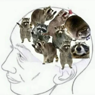 🩶 emoji raccoons Telegram sticker 9 of 32
