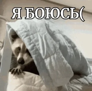 😨 emoji енотеки брадочки😎 Telegram sticker 16 of 43