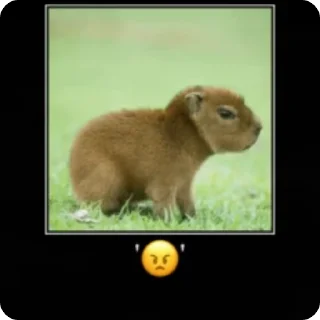 😠 emoji капибарки Telegram sticker 5 of 22