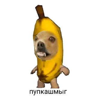 🐶 emoji Животное Telegram sticker 19 of 28