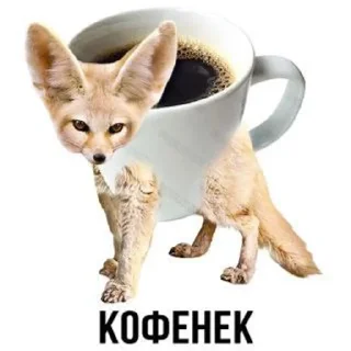 ☕️ emoji Животное Telegram sticker 22 of 28