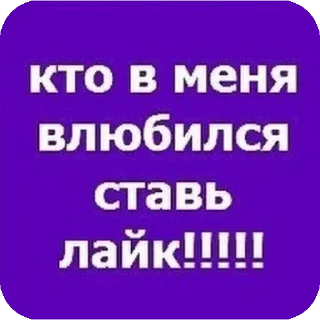 👍 emoji Котик Telegram sticker 7 of 17