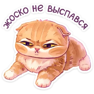 😴 emoji Котик Telegram sticker 5 of 47
