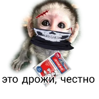 🖼 emoji Монке бандиты Telegram sticker 8 of 13