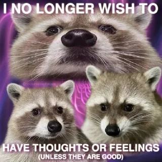🥲 emoji racoon Telegram sticker 9 of 88