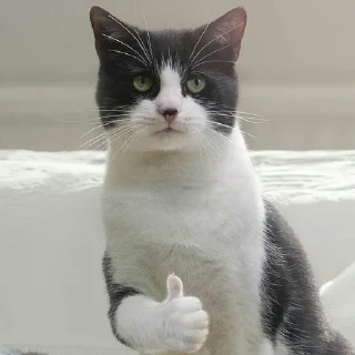 👍 emoji стікерочки для лізочки і всіх бажаючих Telegram sticker 3 of 83