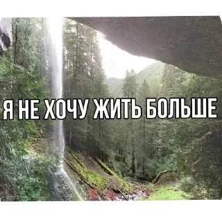 🌲 emoji Смерть.. Telegram sticker 20 of 34