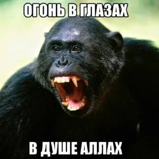 ❤️ emoji смерть аллаху Telegram sticker 10 of 13