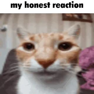 😐 emoji бебричи Telegram sticker 19 of 49