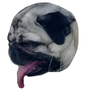 🤢 emoji ОпапопА Telegram sticker 18 of 22