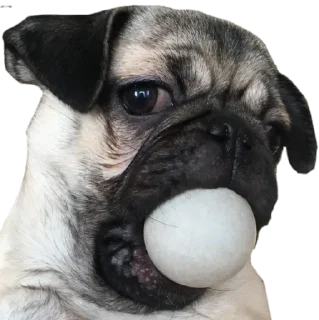 🙃 emoji ОпапопА Telegram sticker 15 of 22
