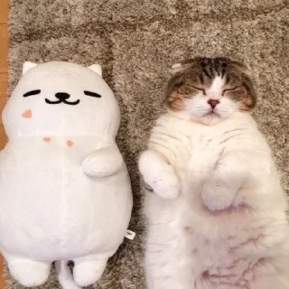 😴 emoji Буквы кончились Telegram sticker 23 of 74