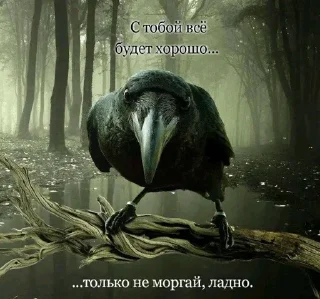 Sticker from <юpреалиsти4н@