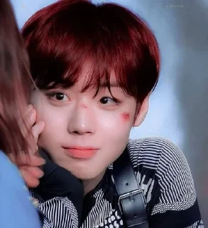 🥺 emoji Park Ji-hoon Telegram sticker 8 of 18