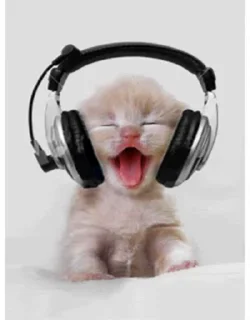 🎧 emoji ваще хс by @shutyaoo Telegram sticker 12 of 48