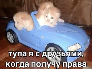 👍 emoji Я НЕ СОБИРАЮСЬ.. Telegram sticker 23 of 120
