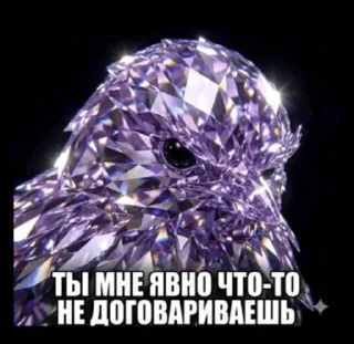 Sticker from Пташки😎😡