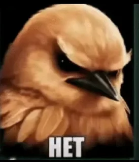 🌟 emoji Пташки😎😡 Telegram sticker 6 of 44