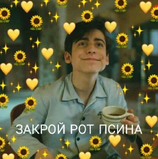 🤐 emoji Мемы от Эйдана и Пятого) Telegram sticker 24 of 34