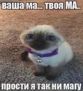 👩 emoji Жиза Telegram sticker 22 of 60