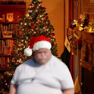 🎅 emoji дикий матрас Telegram sticker 20 of 62