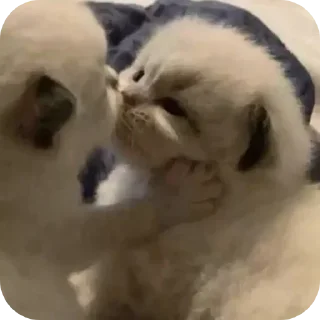 😔 emoji @VVS2M ، ڤنم Telegram sticker 20 of 103