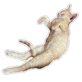 😴 emoji moorsilka and harrusyk Telegram sticker 5 of 20