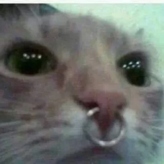 🤘 emoji Обдолбыши Telegram sticker 13 of 120